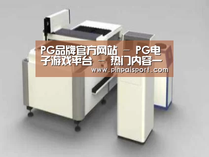 产品名称十五