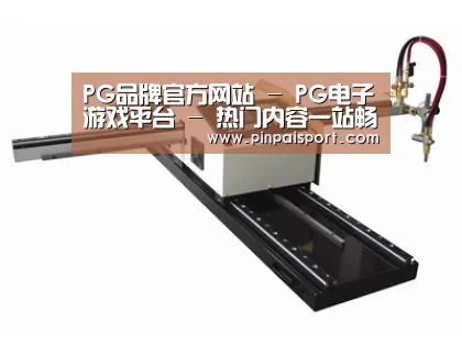 案例展示一