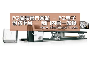 案例展示五