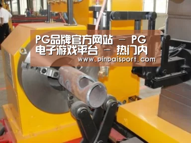 产品名称十四