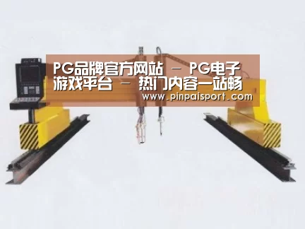 产品名称十九