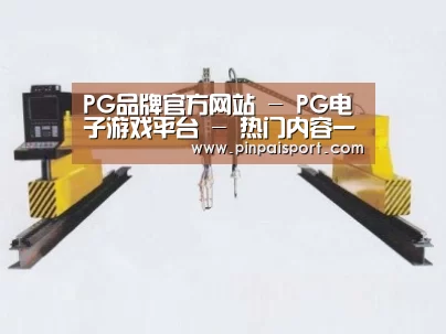 产品名称十九