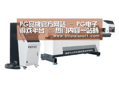 案例展示三