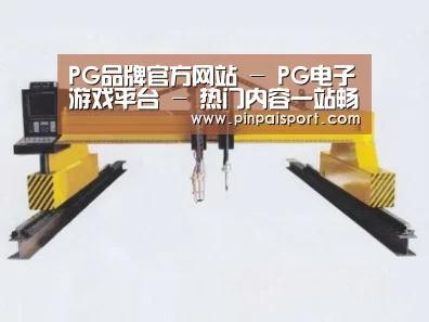 产品名称十七