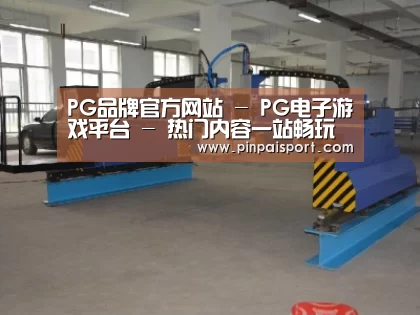 产品名称十九