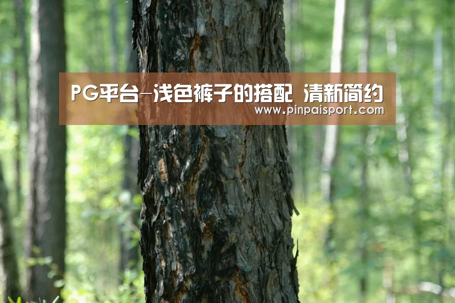 PG畅玩